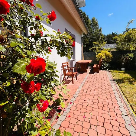 Delfin Wynajem Pokoi Apartment Ostrowo  Exterior photo