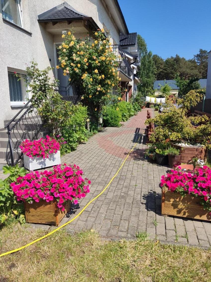 Delfin Wynajem Pokoi Homestay Ostrowo (Puck)